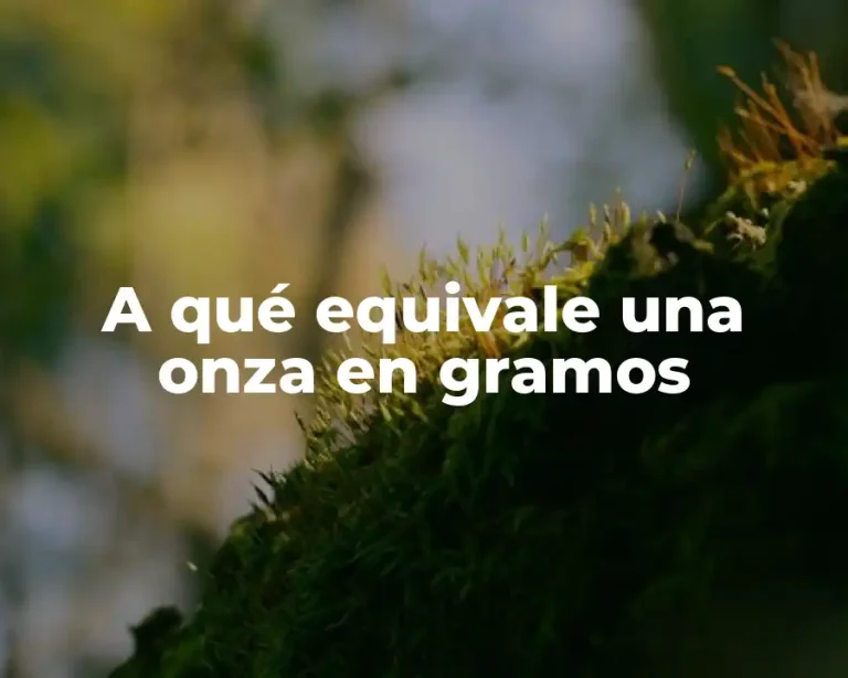 A qué equivale una onza en gramos