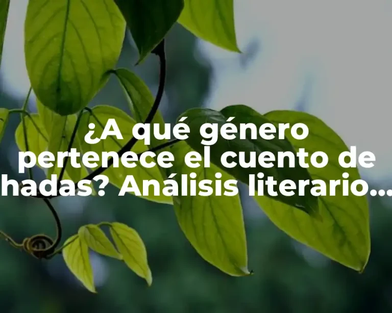 ¿A qué género pertenece el cuento de hadas? Análisis literario y clasificación de los relatos fantásticos