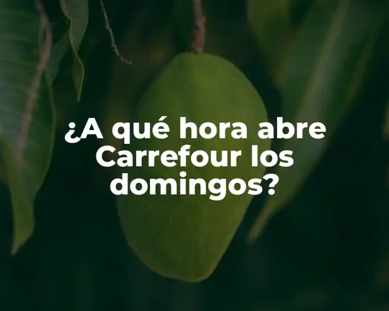 ¿A qué hora abre Carrefour los domingos?