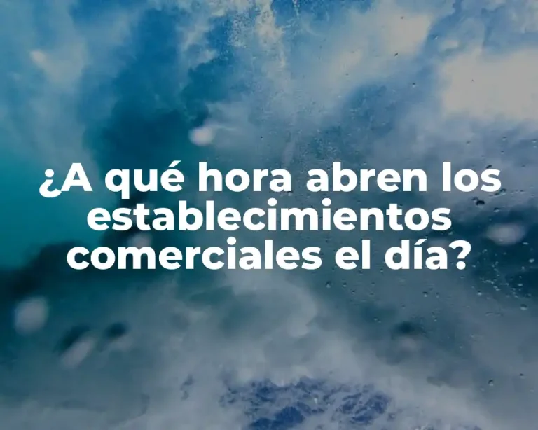 ¿A qué hora abren los establecimientos comerciales el día?