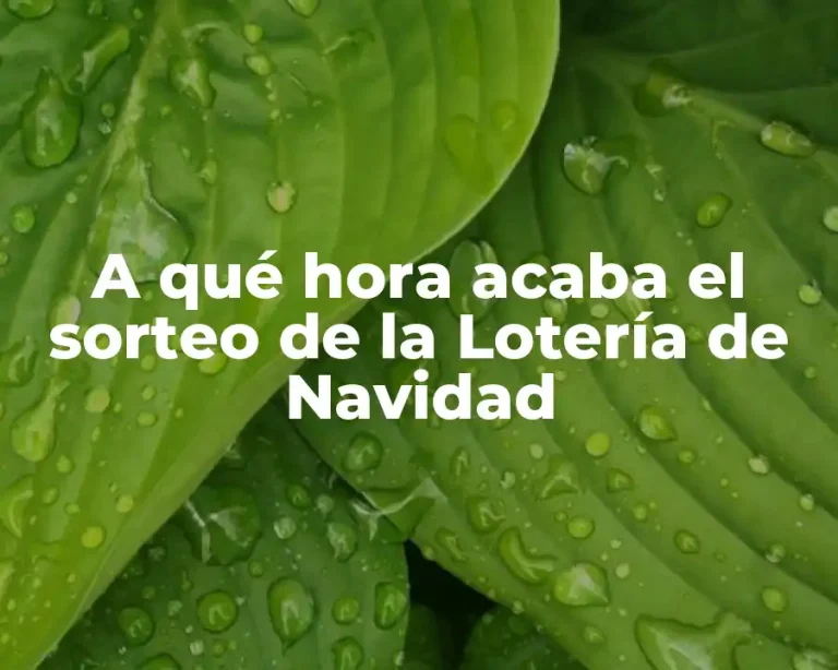 A qué hora acaba el sorteo de la Lotería de Navidad