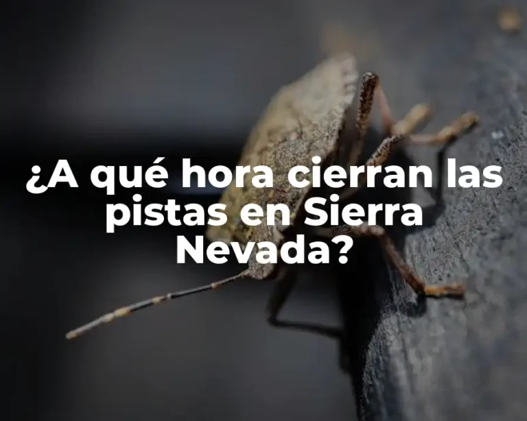 ¿A qué hora cierran las pistas en Sierra Nevada?