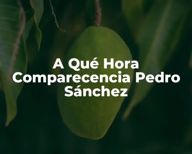 A Qué Hora Comparecencia Pedro Sánchez