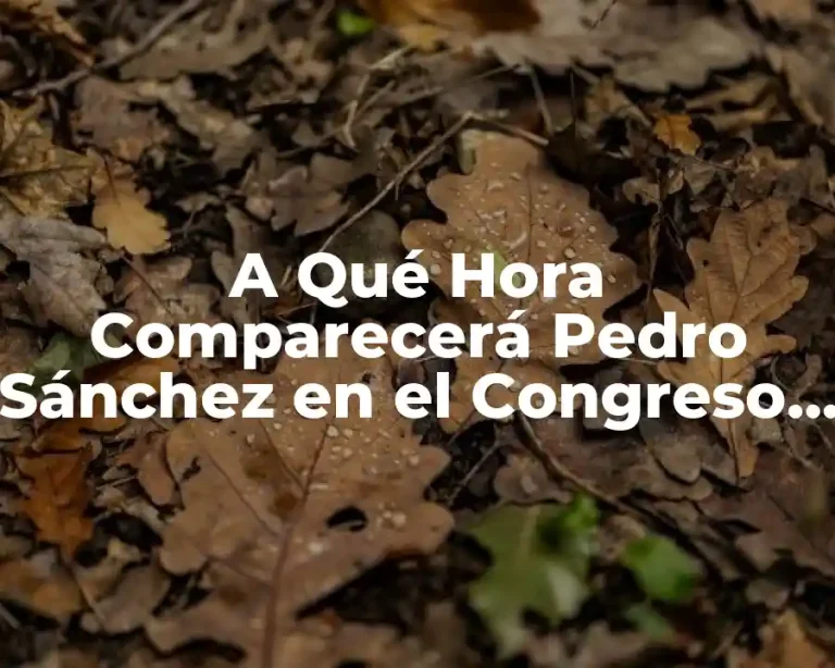 A Qué Hora Comparecerá Pedro Sánchez en el Congreso de los Diputados