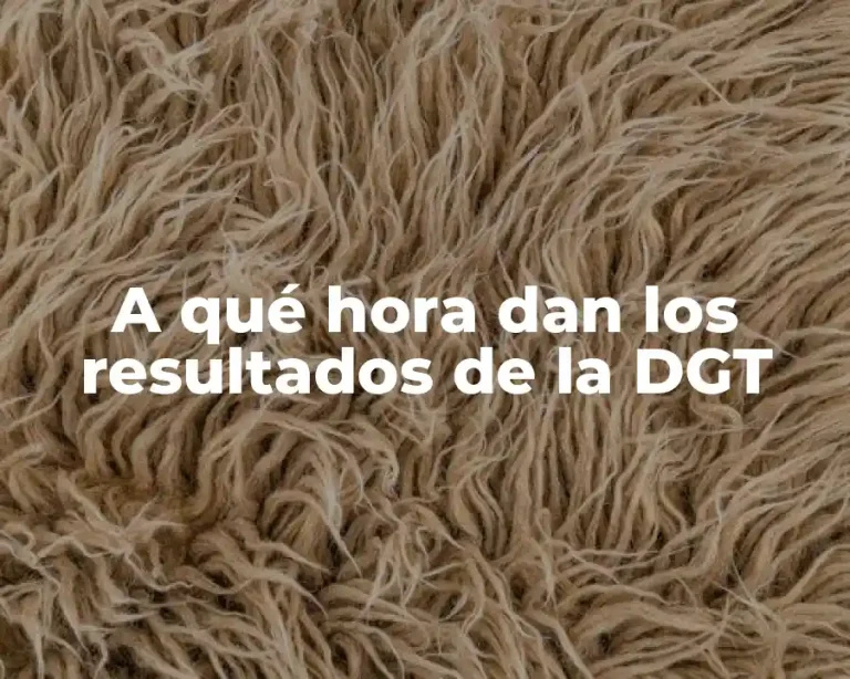 A qué hora dan los resultados de la DGT