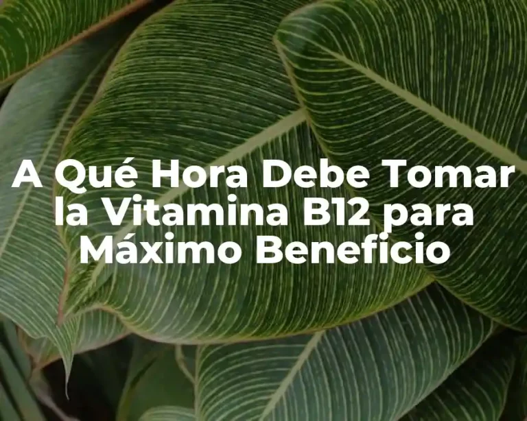 A Qué Hora Debe Tomar la Vitamina B12 para Máximo Beneficio