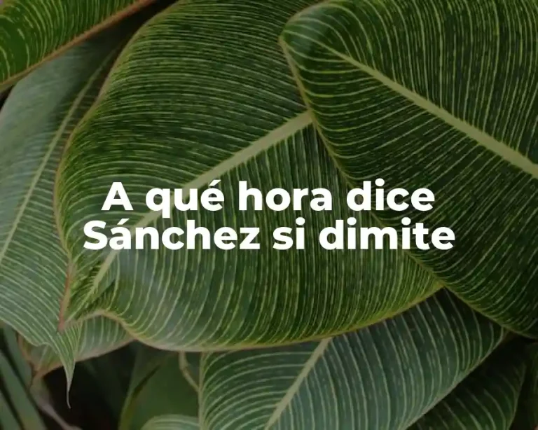 A qué hora dice Sánchez si dimite