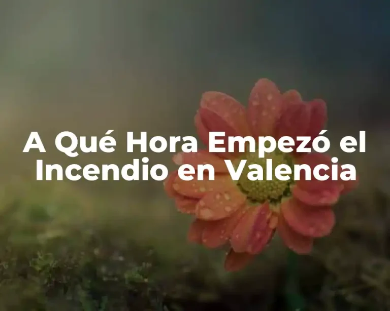 A Qué Hora Empezó el Incendio en Valencia