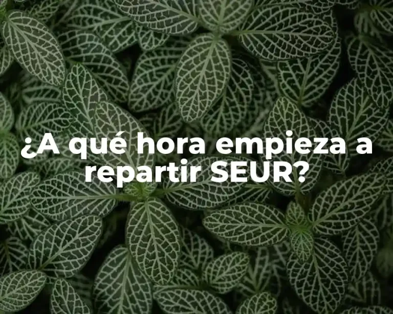¿A qué hora empieza a repartir SEUR?