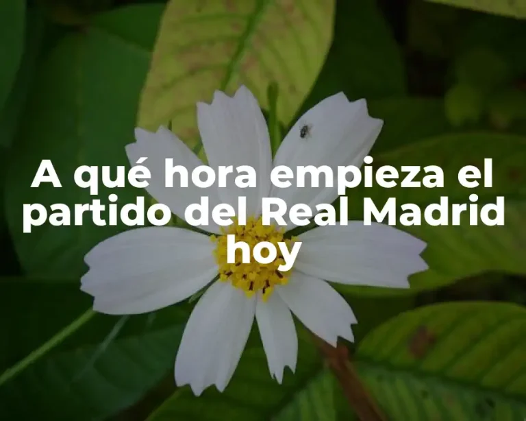 A qué hora empieza el partido del Real Madrid hoy