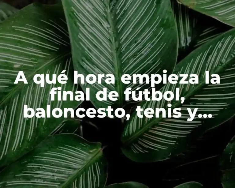 A qué hora empieza la final de fútbol, baloncesto, tenis y otros deportes