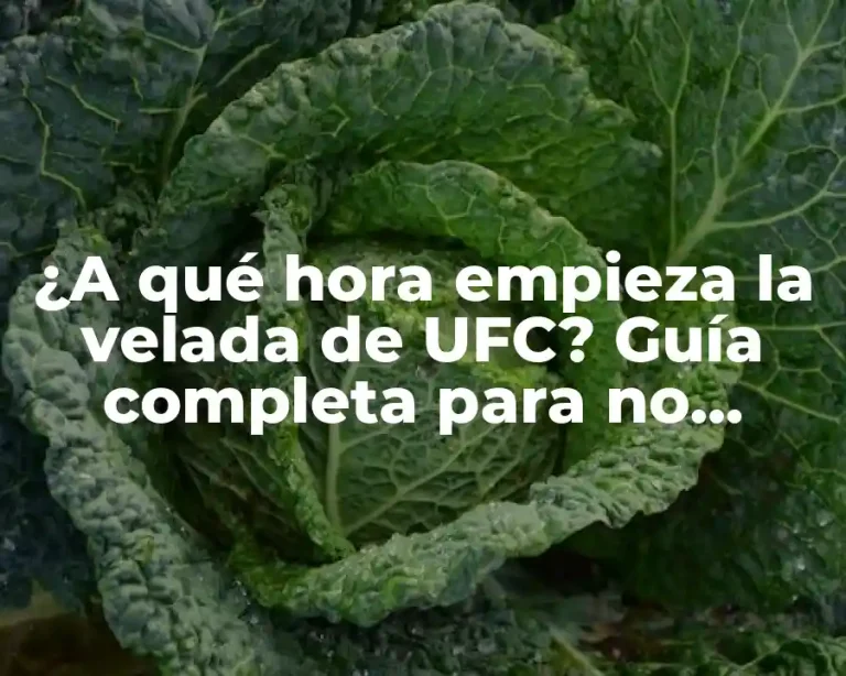 ¿A qué hora empieza la velada de UFC? Guía completa para no perderse ningún evento
