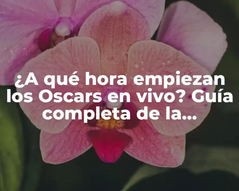 ¿A qué hora empiezan los Oscars en vivo? Guía completa de la ceremonia de premios