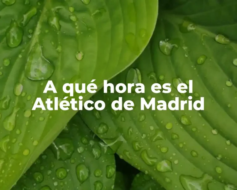 A qué hora es el Atlético de Madrid