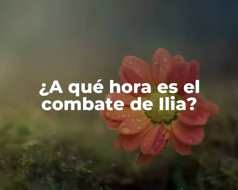 ¿A qué hora es el combate de Ilia?