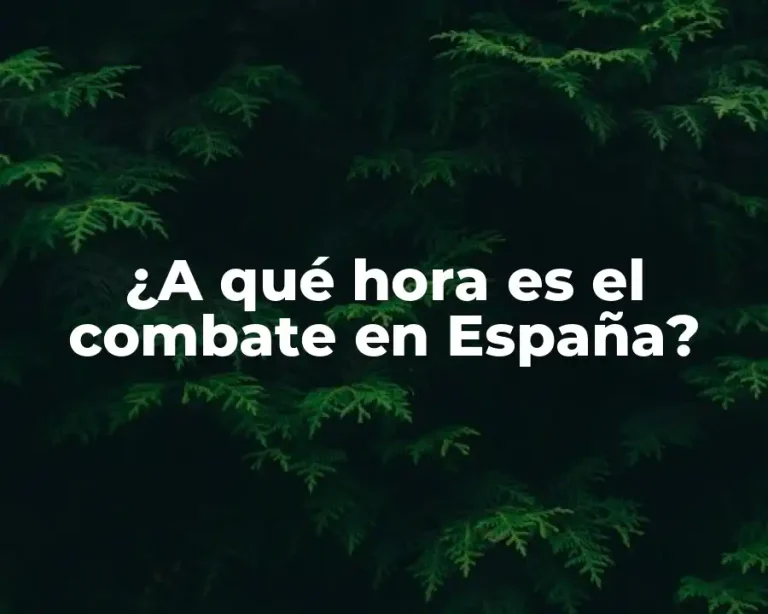 ¿A qué hora es el combate en España?