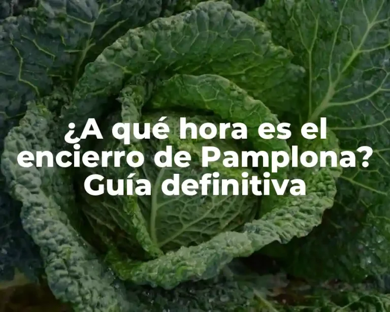 ¿A qué hora es el encierro de Pamplona? Guía definitiva