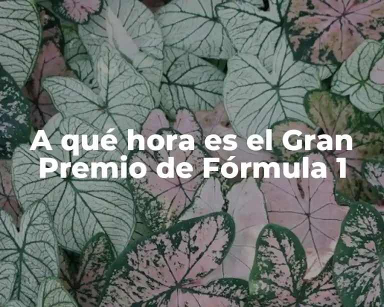 A qué hora es el Gran Premio de Fórmula 1