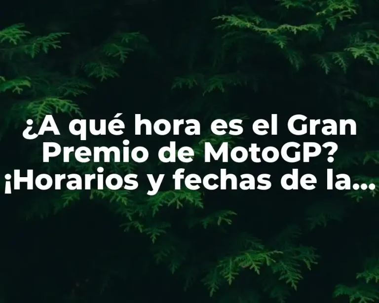 ¿A qué hora es el Gran Premio de MotoGP? ¡Horarios y fechas de la temporada!