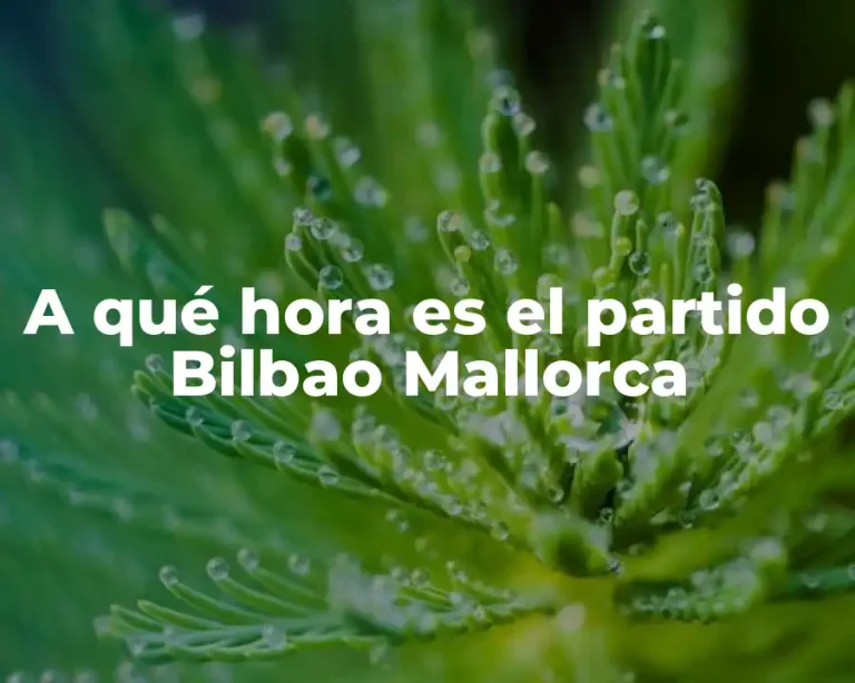 A qué hora es el partido Bilbao Mallorca