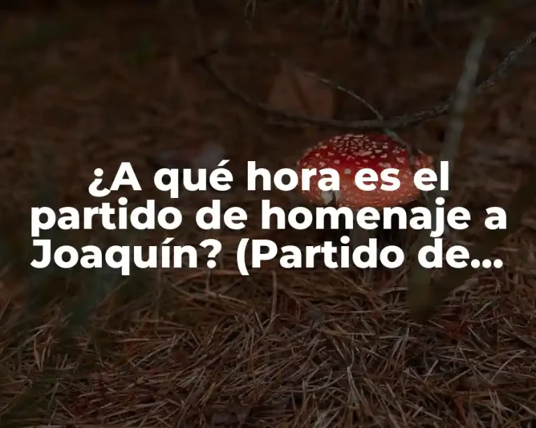 ¿A qué hora es el partido de homenaje a Joaquín? (Partido de Despedida de Joaquín Sánchez)