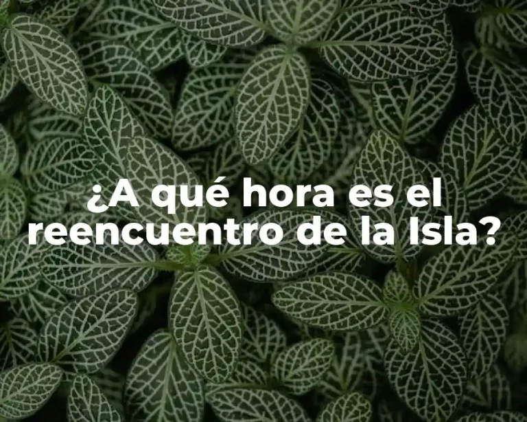 ¿A qué hora es el reencuentro de la Isla?