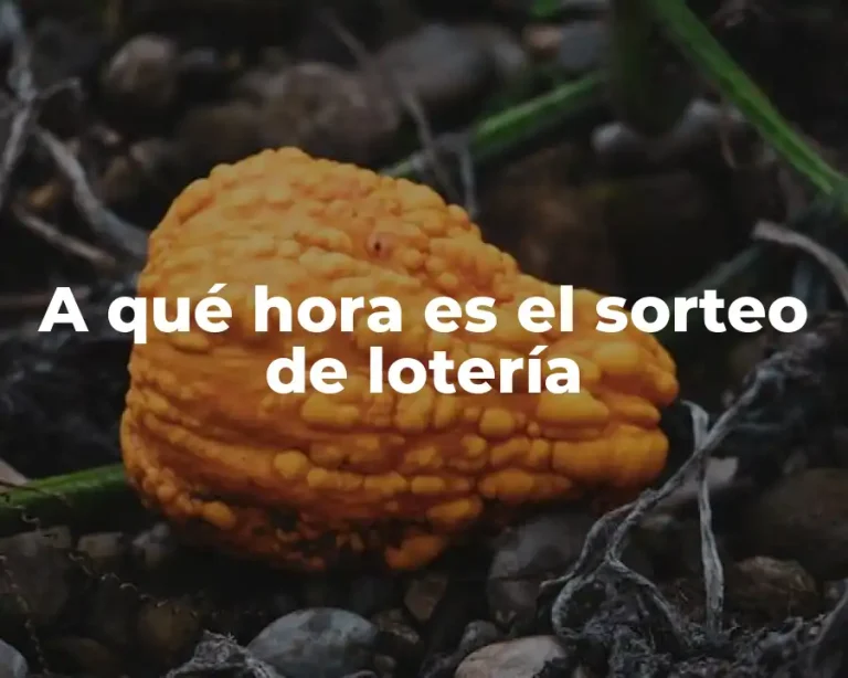 A qué hora es el sorteo de lotería