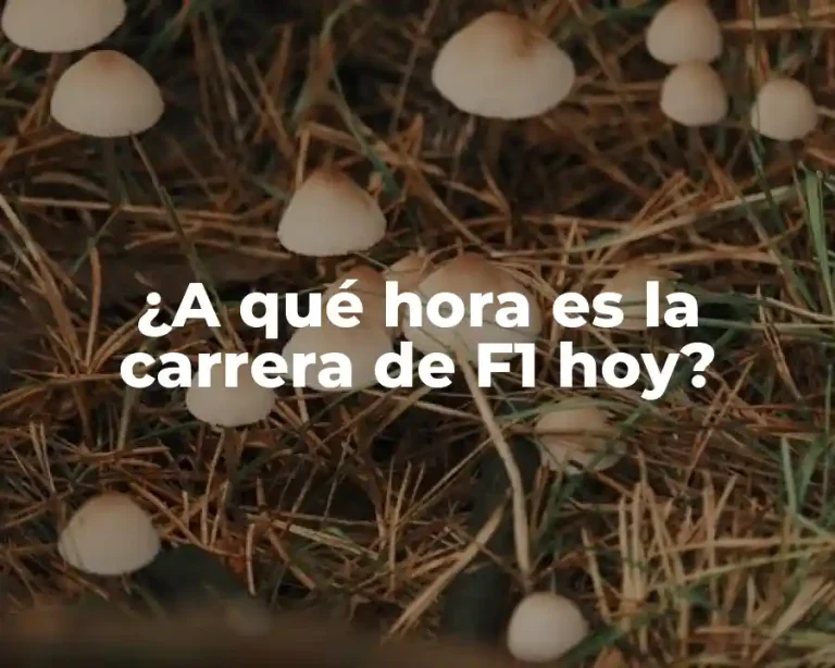 ¿A qué hora es la carrera de F1 hoy?