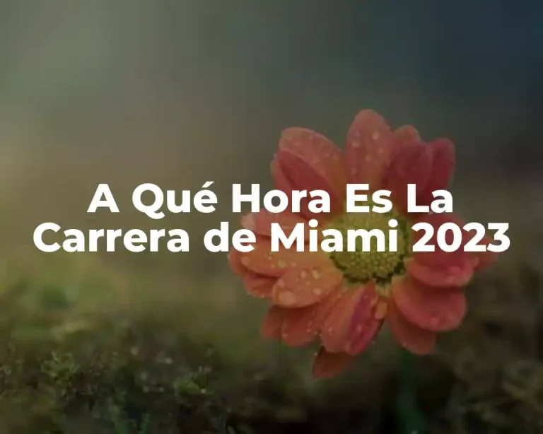 A Qué Hora Es La Carrera de Miami 2023