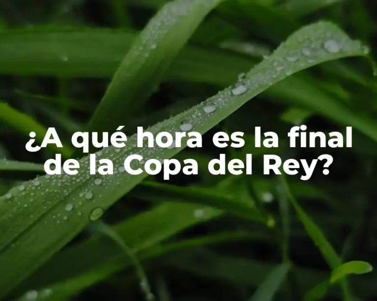 ¿A qué hora es la final de la Copa del Rey?