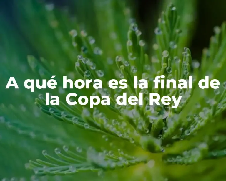 A qué hora es la final de la Copa del Rey