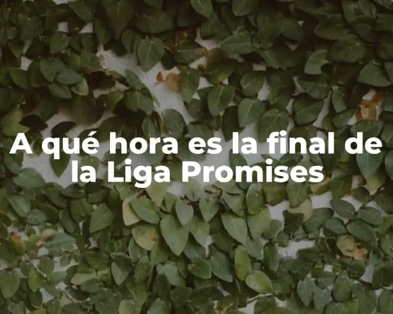 A qué hora es la final de la Liga Promises