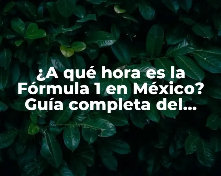 ¿A qué hora es la Fórmula 1 en México? Guía completa del horario de la F1 en México