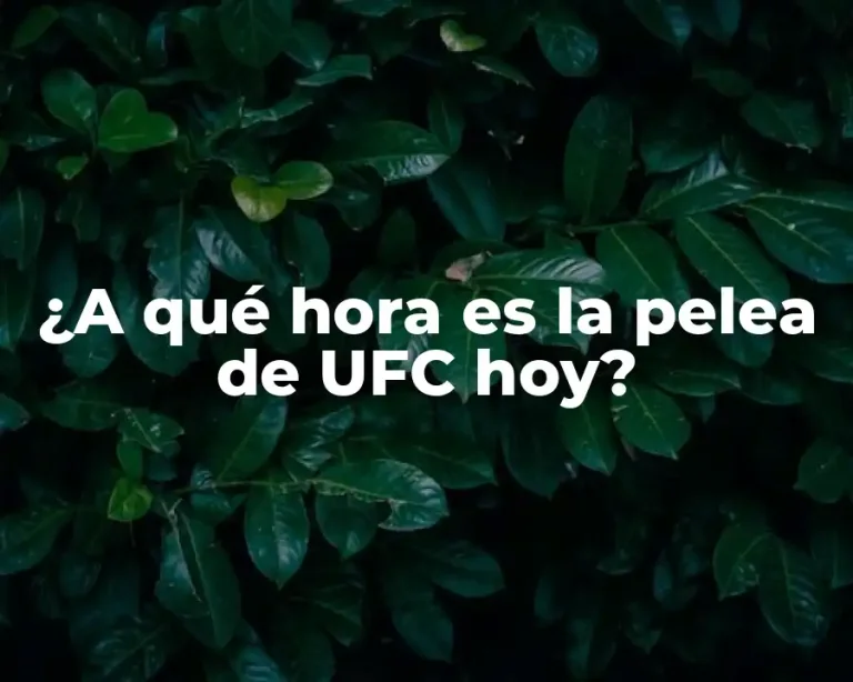 ¿A qué hora es la pelea de UFC hoy?