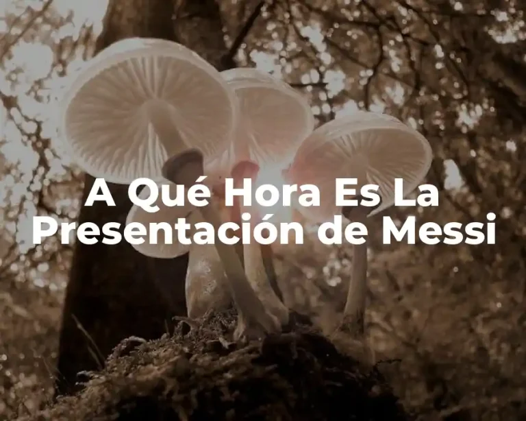 A Qué Hora Es La Presentación de Messi