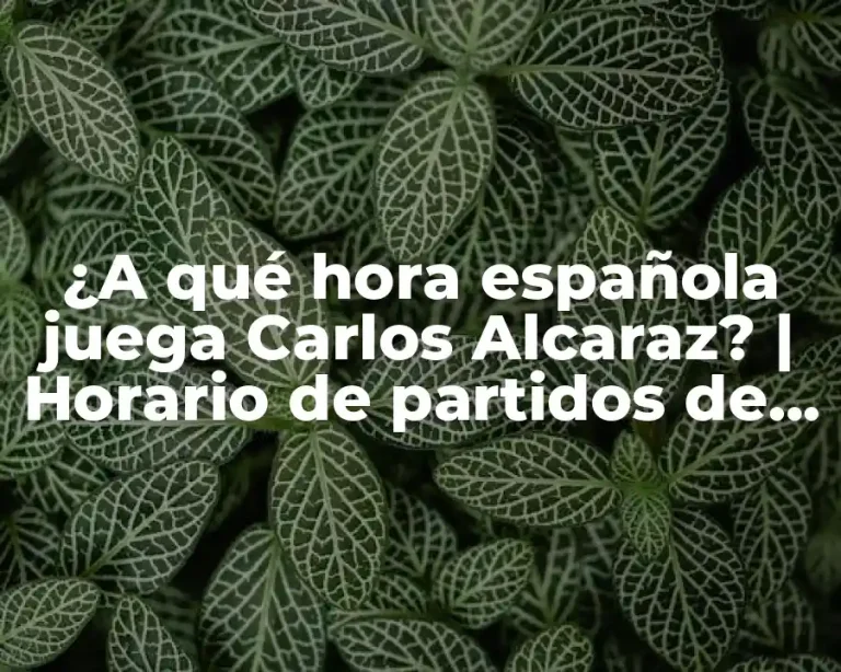 ¿A qué hora española juega Carlos Alcaraz? | Horario de partidos de tenis