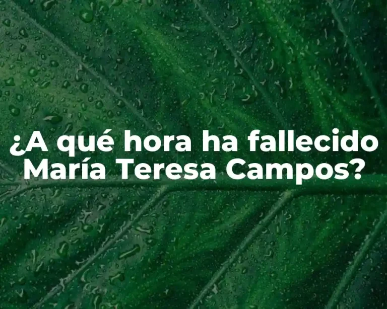 ¿A qué hora ha fallecido María Teresa Campos?