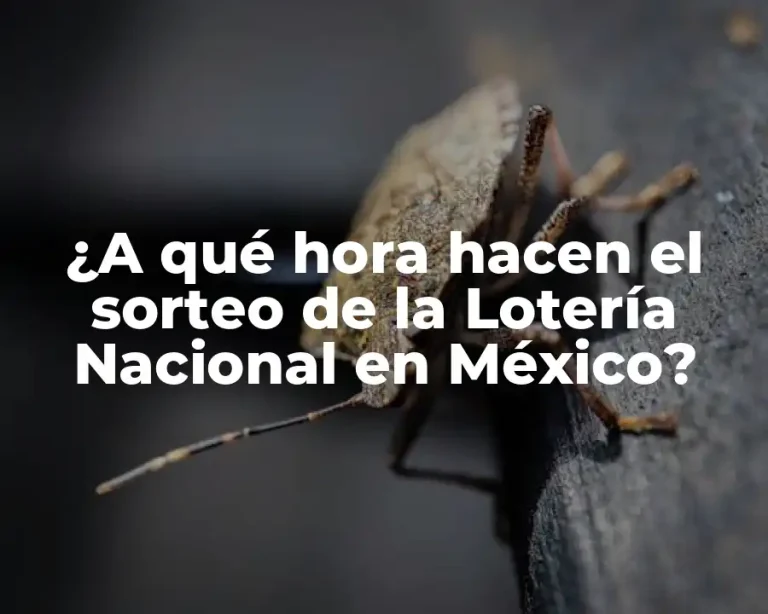 ¿A qué hora hacen el sorteo de la Lotería Nacional en México?