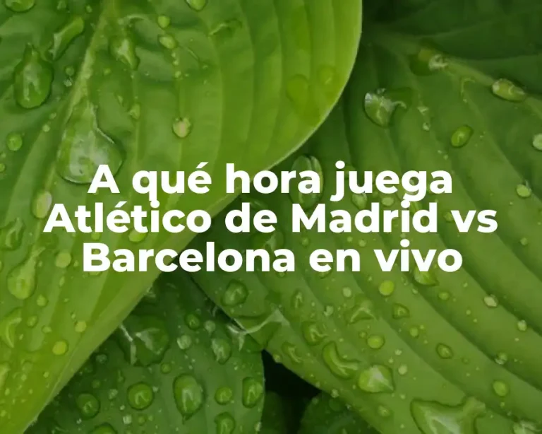 A qué hora juega Atlético de Madrid vs Barcelona en vivo
