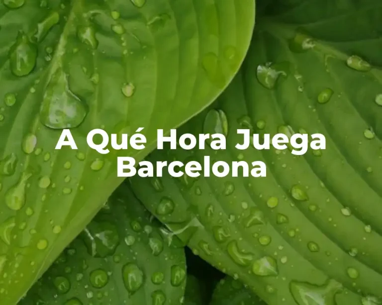 A Qué Hora Juega Barcelona