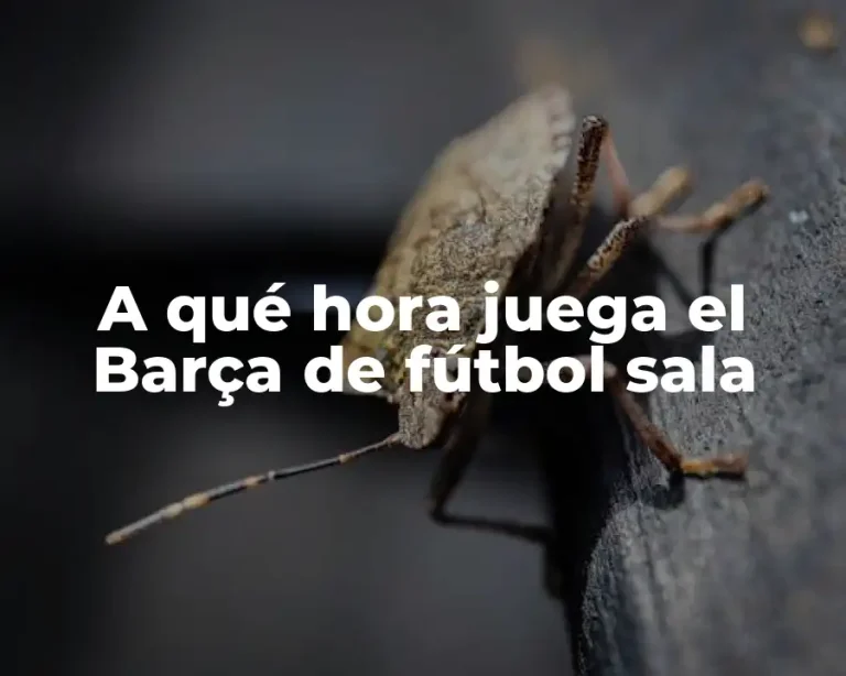 A qué hora juega el Barça de fútbol sala