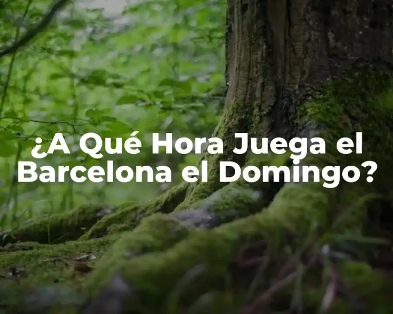 ¿A Qué Hora Juega el Barcelona el Domingo?