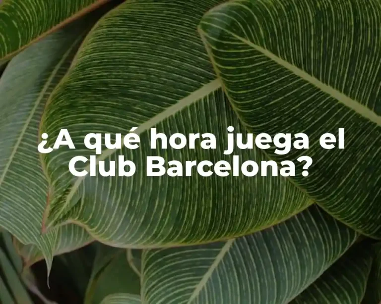 ¿A qué hora juega el Club Barcelona?