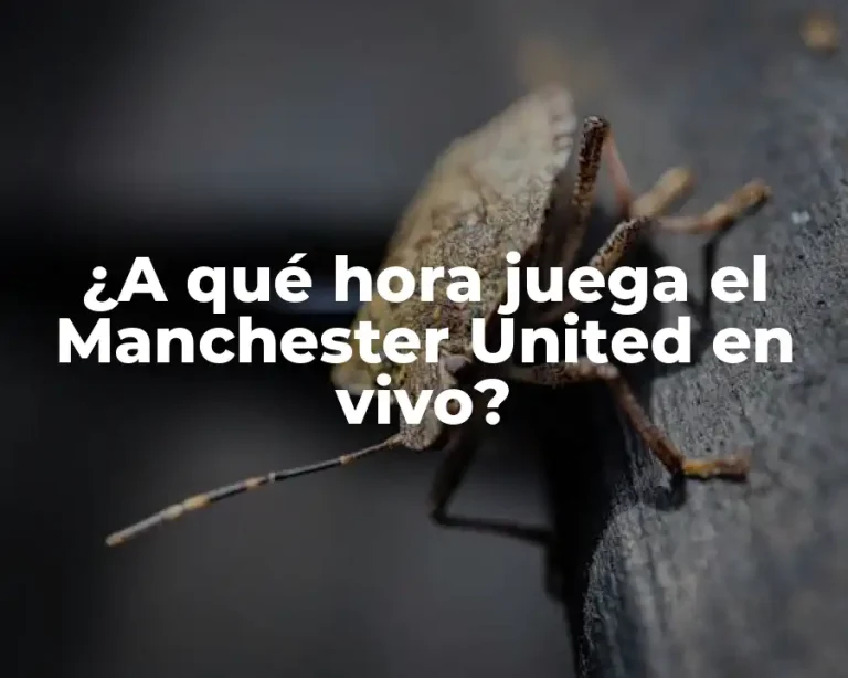 ¿A qué hora juega el Manchester United en vivo?