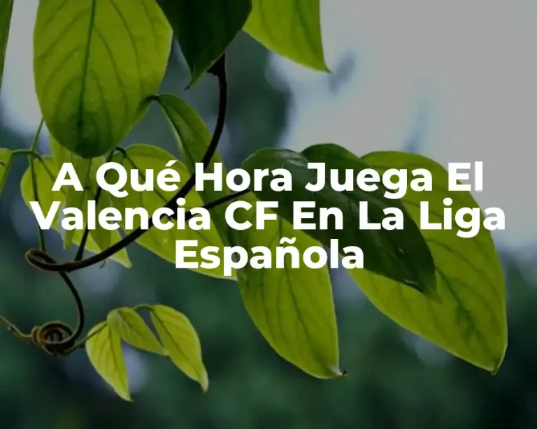 A Qué Hora Juega El Valencia CF En La Liga Española
