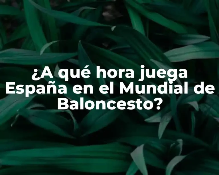 ¿A qué hora juega España en el Mundial de Baloncesto?