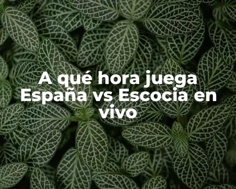 A qué hora juega España vs Escocia en vivo