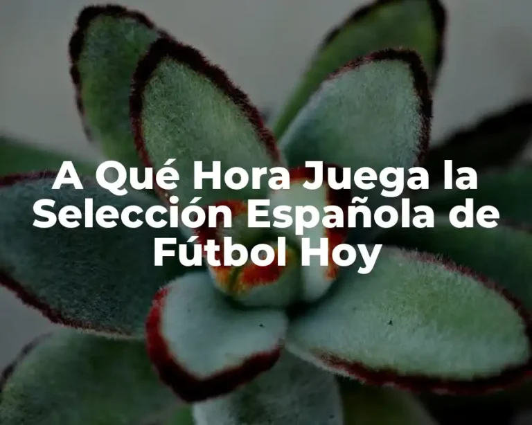 A Qué Hora Juega la Selección Española de Fútbol Hoy
