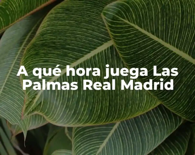 A qué hora juega Las Palmas Real Madrid