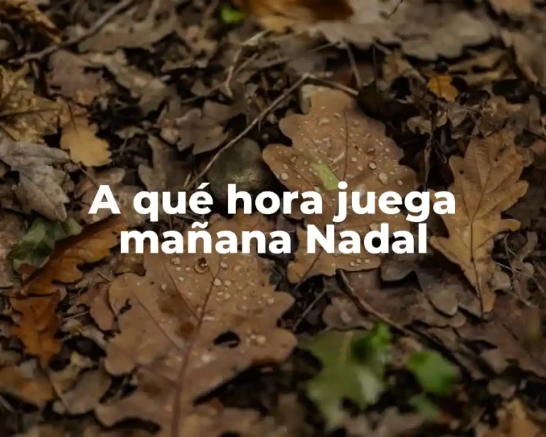 A qué hora juega mañana Nadal